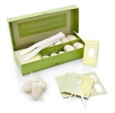 kit presente natura mamãe e bebê